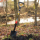 Cat Szpadel k-series d-handle garden spade - 1604203 - zdjęcie 3